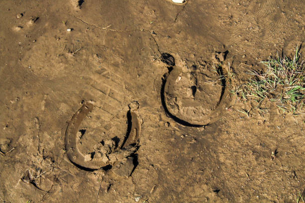istock Horse shoe prints in the dirt 1222501926