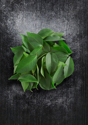 Indonesian bay leaf, Indonesian laurel,  Syzygium polyanthum leaf or Salam leaf