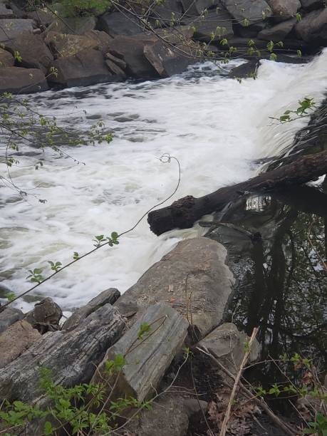 Waterfalls in Bronxville Bronx River Waterfalls in Bronxville, NY bronxville photos stock pictures, royalty-free photos & images