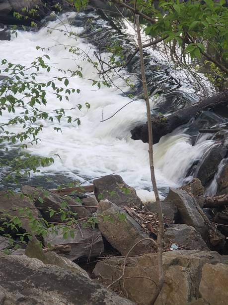 Waterfalls in Bronxville Bronx River Waterfalls in Bronxville, NY bronxville photos stock pictures, royalty-free photos & images