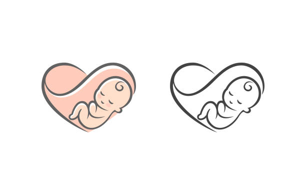 932 Fetus Animation Stock Photos, Pictures & Royalty-Free Images - iStock