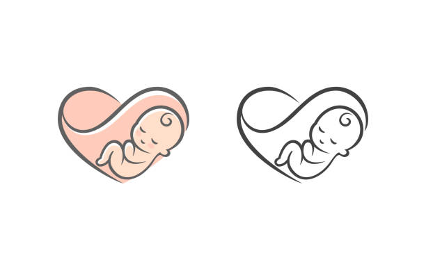 932 Fetus Animation Stock Photos, Pictures & Royalty-Free Images - iStock 932 Fetus Animation Stock Photos, Pictures & Royalty-Free Images - iStock