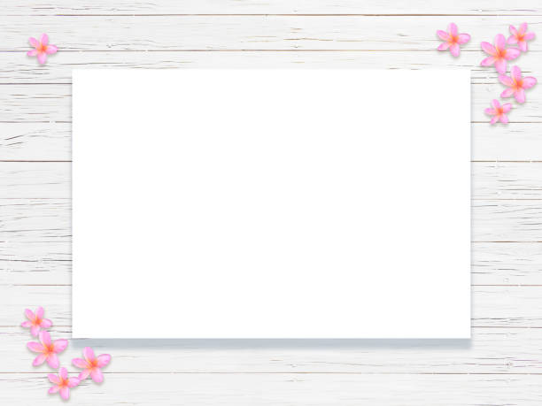 istock frangipani flowers on board, floorboard, wood deck background 1222506161