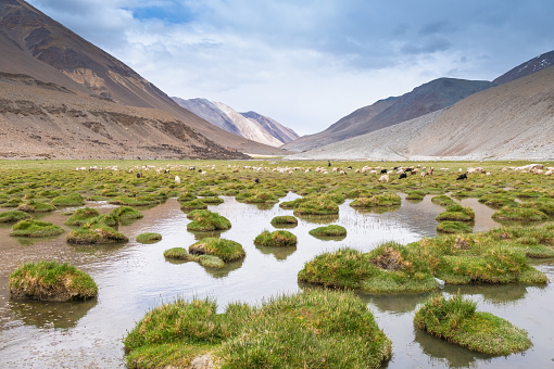 Panorama of a nature and landscape view in Leh ladakh india