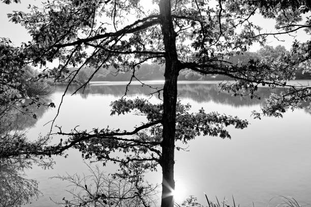 Aperture 9, exposure time 1/320 sec., ISO 160, focal length 24 mm, UV filter, sun visor, full format camera,