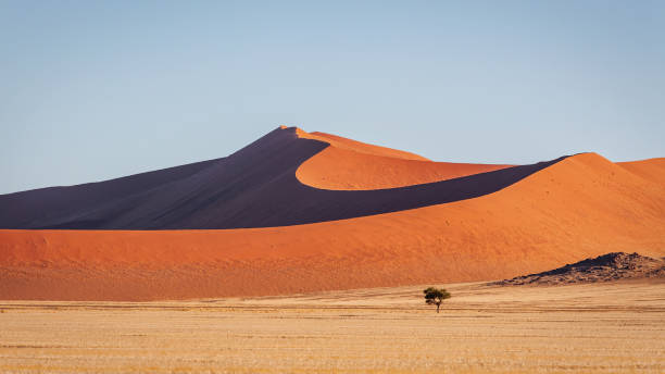 砂漠砂丘パノラマナミビアナミブナミブナクルフト国立公園 - landscape panoramic kalahari desert namibia ストックフォトと画像