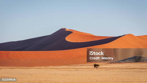 Desert Sand Dunes Panorama Namibia Namibnaukluft National Park Stock Photo - Download Image Now