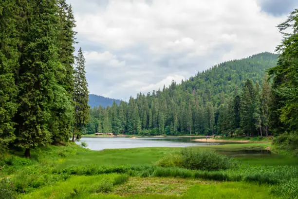 Photo of lake summer landscape