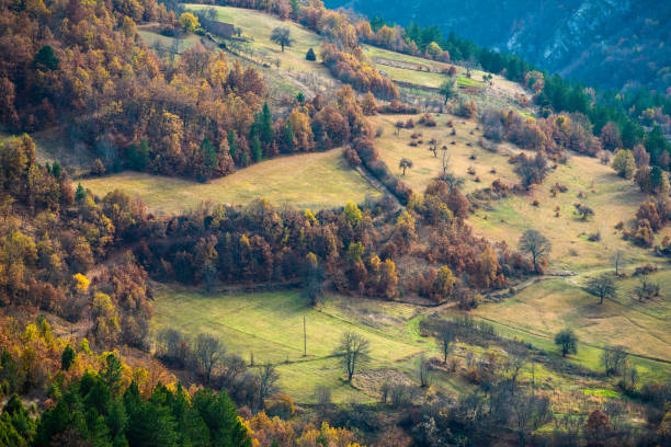 istock Colorful mountain meadow 1222523019