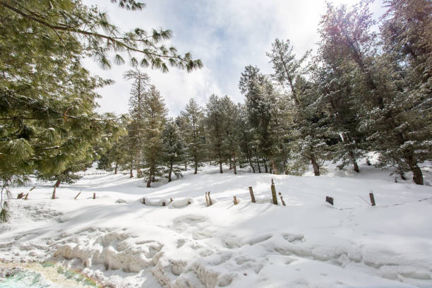 istock Snow Covered Landscape Against Sky 1222523781