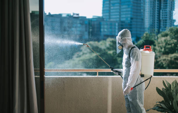 Oneman in protective suit spraying the house and disinfecting the housing exterminator pest control virus Oneman in protective suit spraying the house and disinfecting the housing exterminator pest control virus pest control stock pictures, royalty-free photos & images
