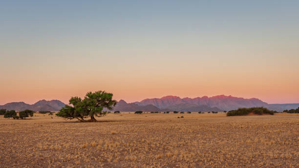 istock Glowing Mountain Range Sunset Namib Rand Nature Reserve Panorama Namibia 1222525521