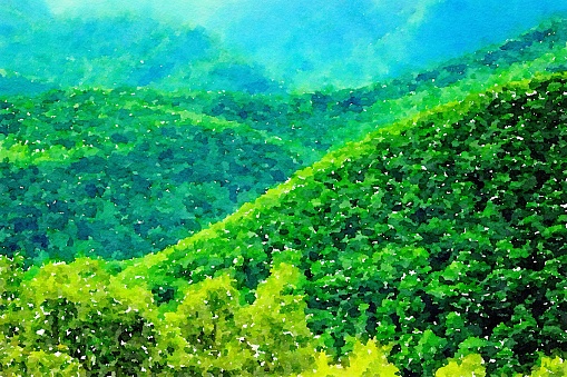art watercolor of green forest