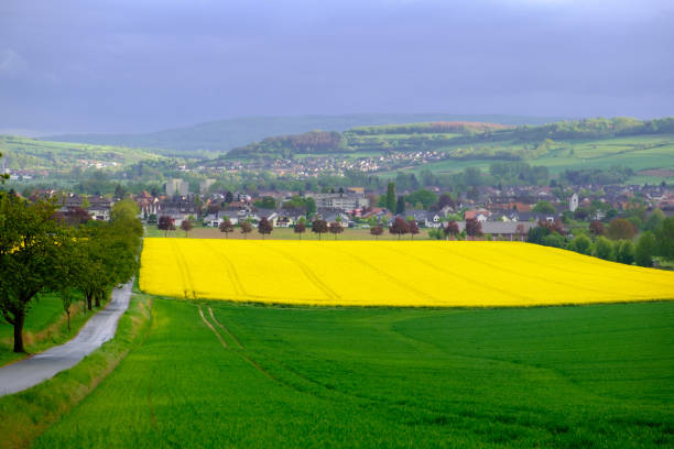 istock Landscape with yellow fields of blooming rapeseed in Germany. 1222532881