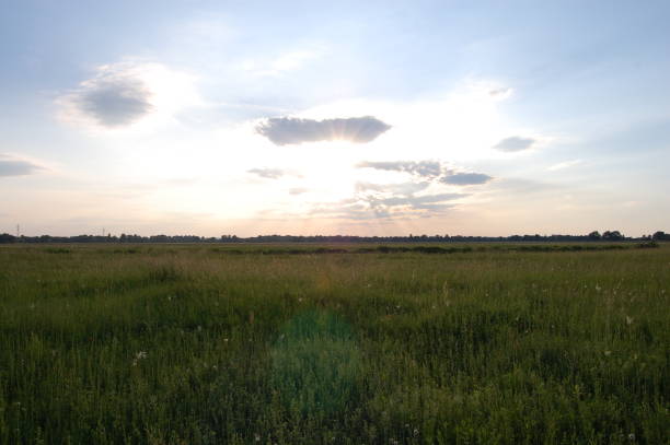 istock sunset in summer orange field 1222533899