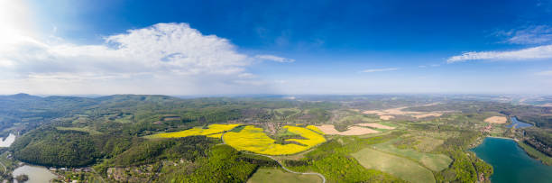 istock yellow canola field with blue sky 1222534910