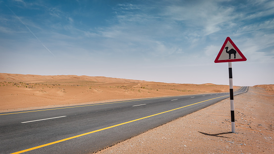 Camel Crossing Warming Sign Panorama Roadside of an Desert Highway under a blue skyscape. Road to Wahiba Sands Desert, Oman, Middle East
