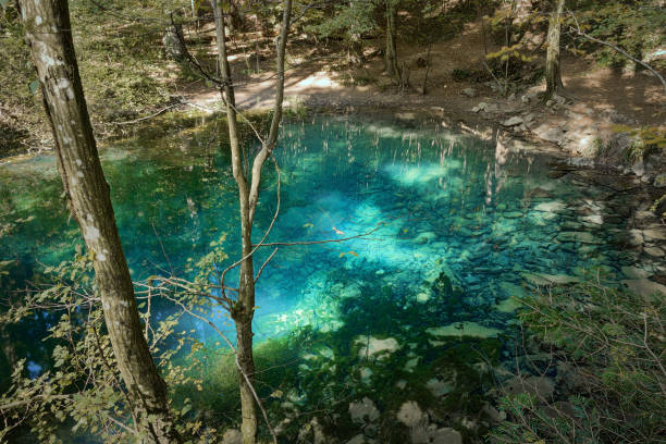 istock blue beautiful wild lake, Ochiul Beiului 1222535754