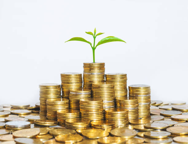 istock coin stack money saving concept. green leaf plant growth on rows of coin on white background. money matters tips to investment and business financial banking for Financial Wellness. 1222539674