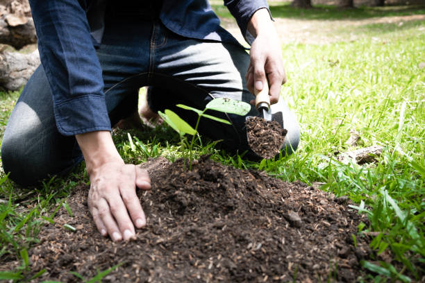 istock The young man is planting the tree to preserve environment 1222541969