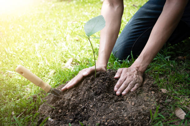 istock The young man is planting the tree to preserve environment 1222541994