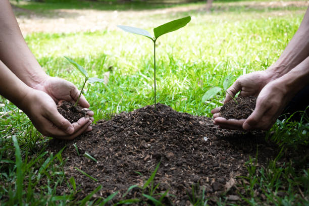 istock Two young men planting trees to protect the environment 1222542000