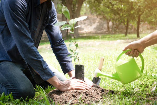 istock Two young men planting trees to protect the environment 1222542006