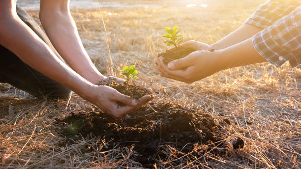 istock Two young men planting tree to protect the environment 1222542014