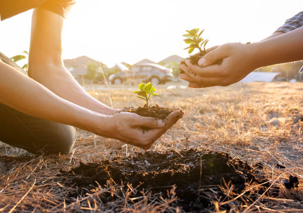 istock Two young men planting tree to protect the environment 1222542017