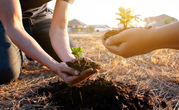 istock Two young men planting tree to protect the environment 1222542019