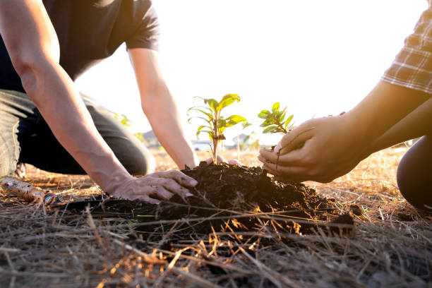 istock Two young men planting tree to protect the environment 1222542041