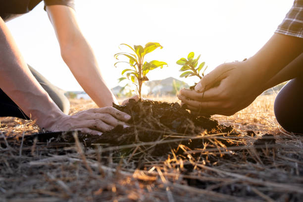 istock Two young men planting tree to protect the environment 1222542045