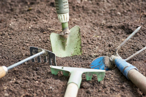 narzędzia ogrodowe w ogrodzie. tło brudnych artykułów ogrodowych. - shovel spring claw hobbies zdjęcia i obrazy z banku zdjęć