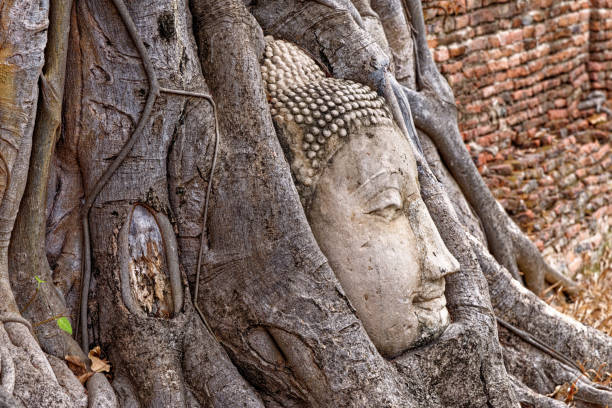 istock Large stone Buddha head in fig tree roots - Ayutthaya City 1222543863