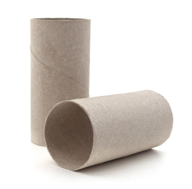 istock Ended toilet paper. 1222544719