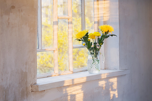 yellow flowers in white windowsill at sunset