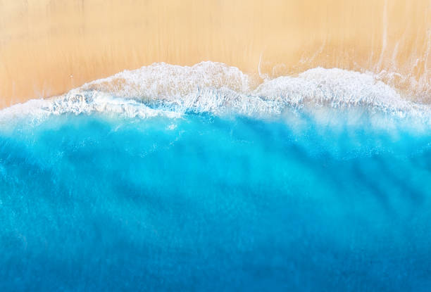 istock Coast with waves as a background from top view. Blue water background from drone. Summer seascape from air. Travel - image 1222549109