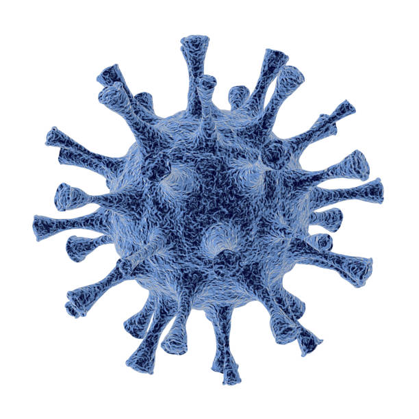 istock Big realistic macro blue coronavirus and virus, bacterium spikes sucker under the microscope isolated on white background. 3d illustration 1222549659