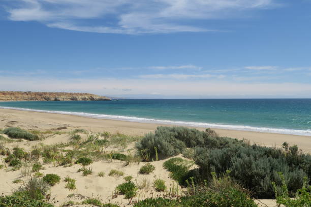 istock Beach outside of Adelaide, Australia 1222550934