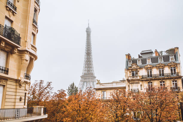 istock Empty gloomy view of Paris during quarantine during coronavirus epidemic 1222552308