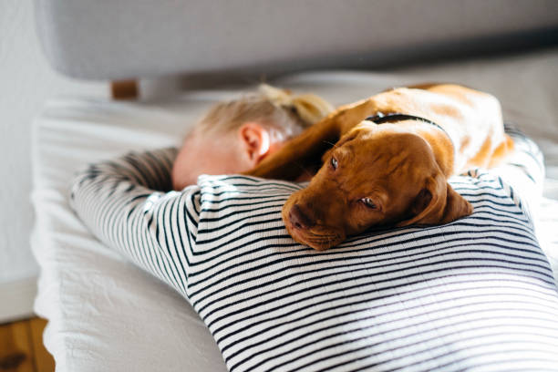 istock Puppy resting close to his owner 1222556947
