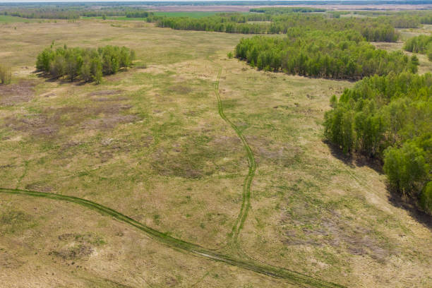 istock birch forests and wheat fields taken from a drone on a bright sunny day 1222557001