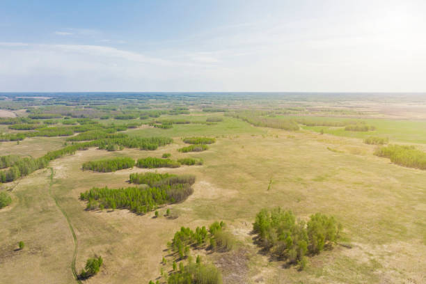 istock birch forests and wheat fields taken from a drone on a bright sunny day 1222557012