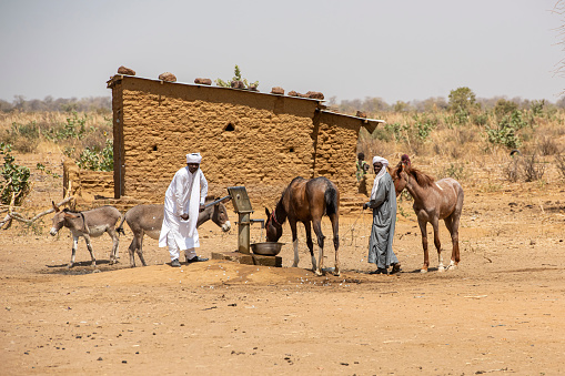 Mongo, Chad - February 20,2020: Two men in traditional Chadian clothing are pumping water at a small water well to water their horses and donkeys. The scene happens in the small town of Mongo, which is an important oasis and trading place in Central Chad.
