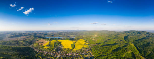istock yellow canola field with blue sky 1222563050