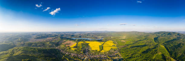 istock yellow canola field with blue sky 1222563087