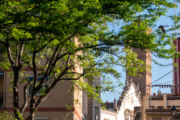 istock trees, buildings , and old church sunny morning 1222565036