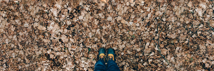 Womans feet in boots standing on brown falling leaves. Climat change concept. Minimalist stock photo.