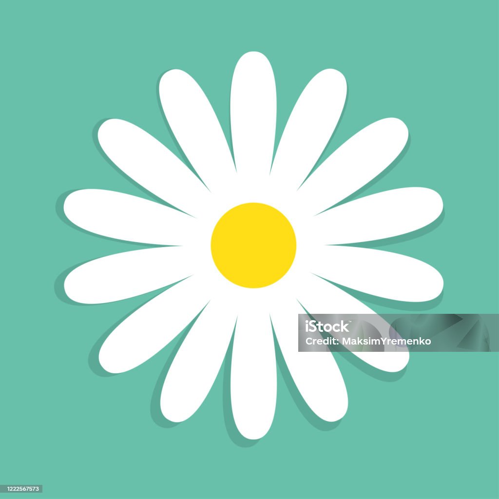 Hoa Cúc Dễ Thương Bị Cô Lập Trên Nền Xanh Hình minh họa Sẵn có ...