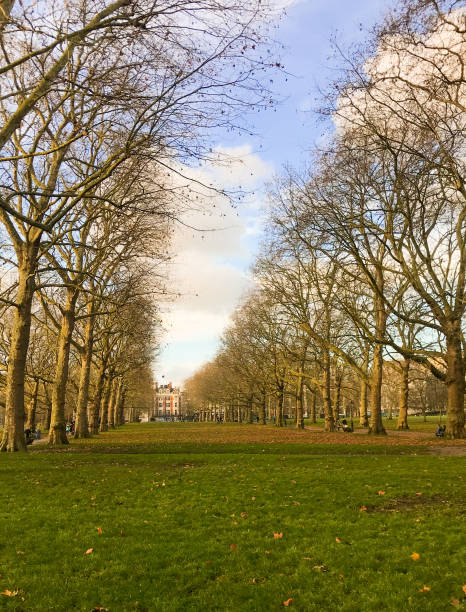 istock London park in the fall 1222568088
